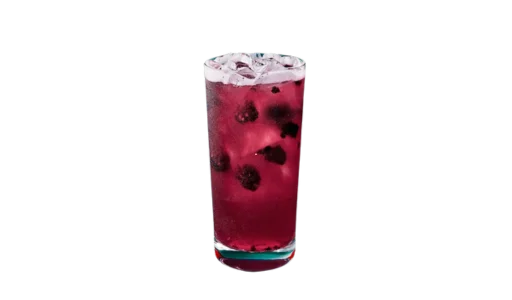 Starbucks Blackberry Sage Lemonade Refresher