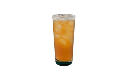 Starbucks Iced Black Tea Lemonade