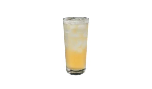 Starbucks Iced Green Tea Lemonade