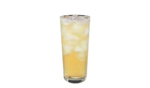 Starbucks Iced Green Tea