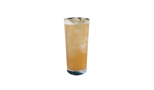 Starbucks Iced Peach Green Tea Lemonade