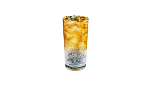 Starbucks Tropical Citrus Iced Energy
